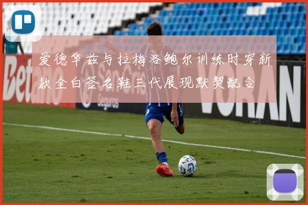 爱德华兹与拉梅洛鲍尔训练时穿新款全白签名鞋三代展现默契配合