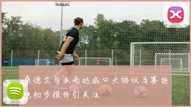 桑德兰与派尚达成口头协议马赛拒绝初步报价引关注
